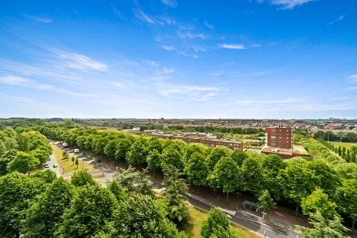 Foto 17 van Thomas Jeffersonlaan 661