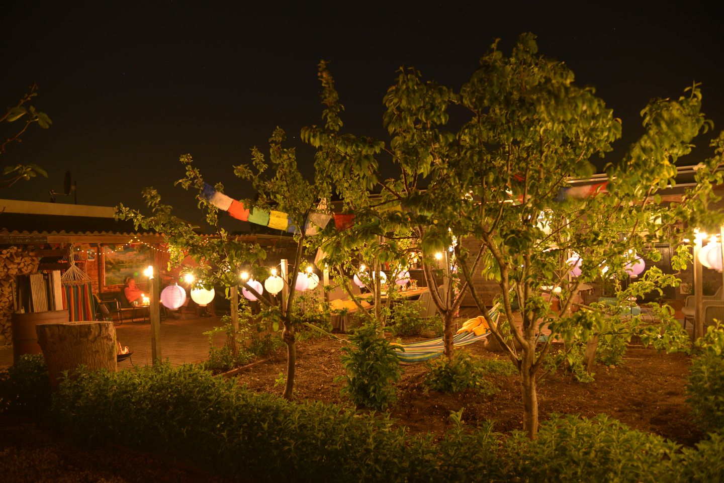 Foto 14 van Meije 322