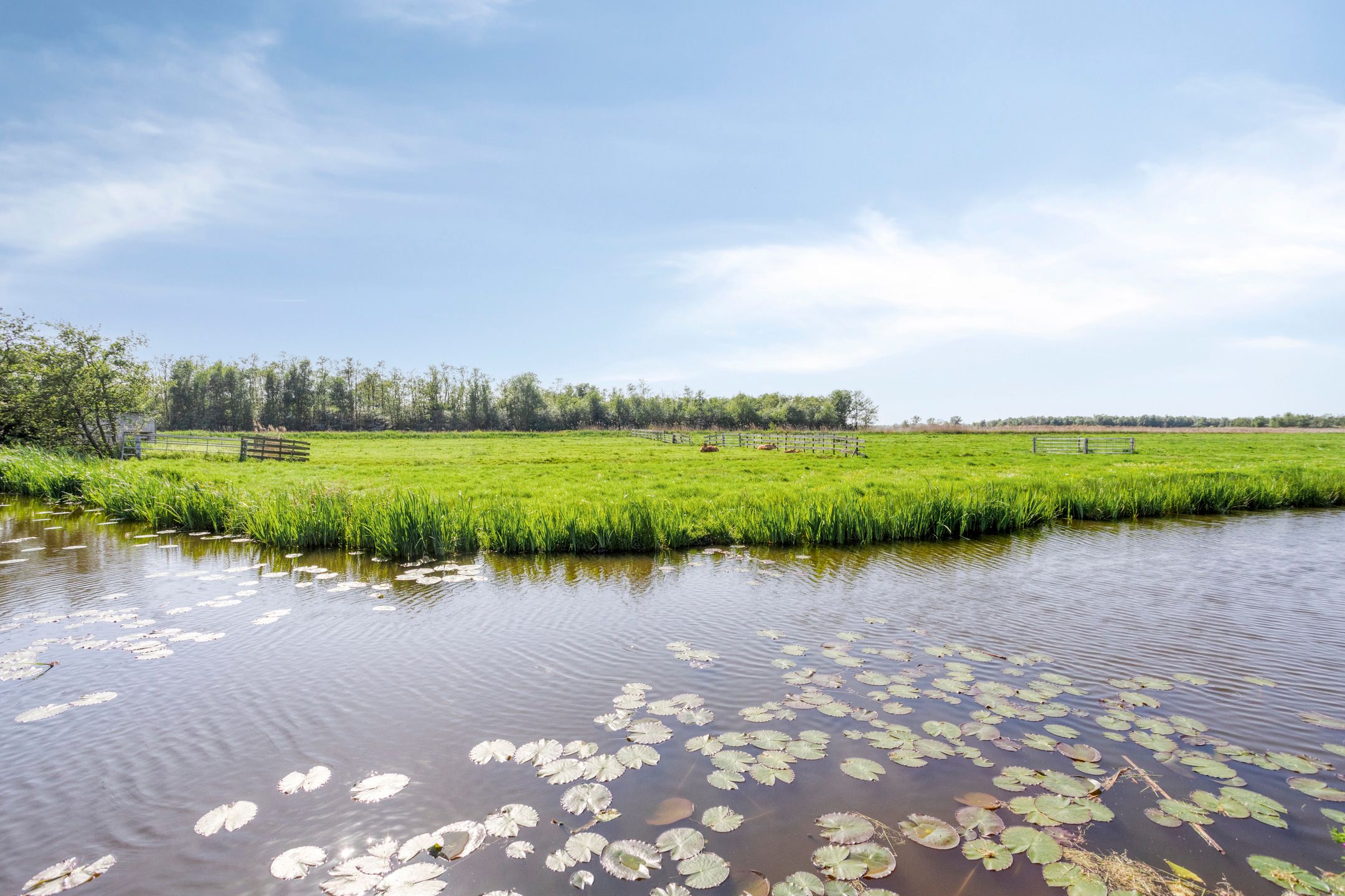 Foto 39 van Meije 322