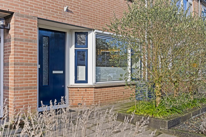 Foto 31 van Palmedreef 11