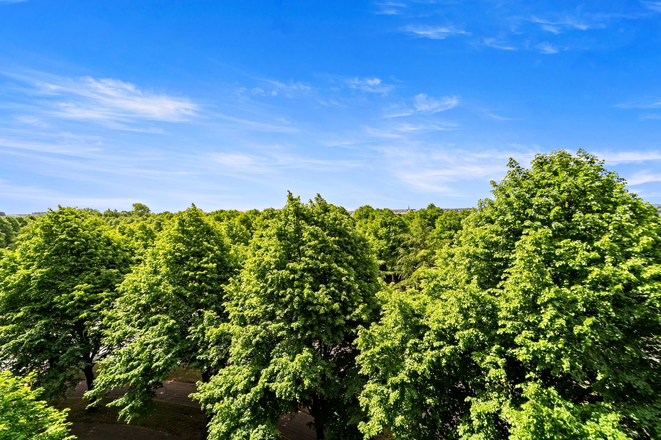 Foto 27 van Thomas Jeffersonlaan 561