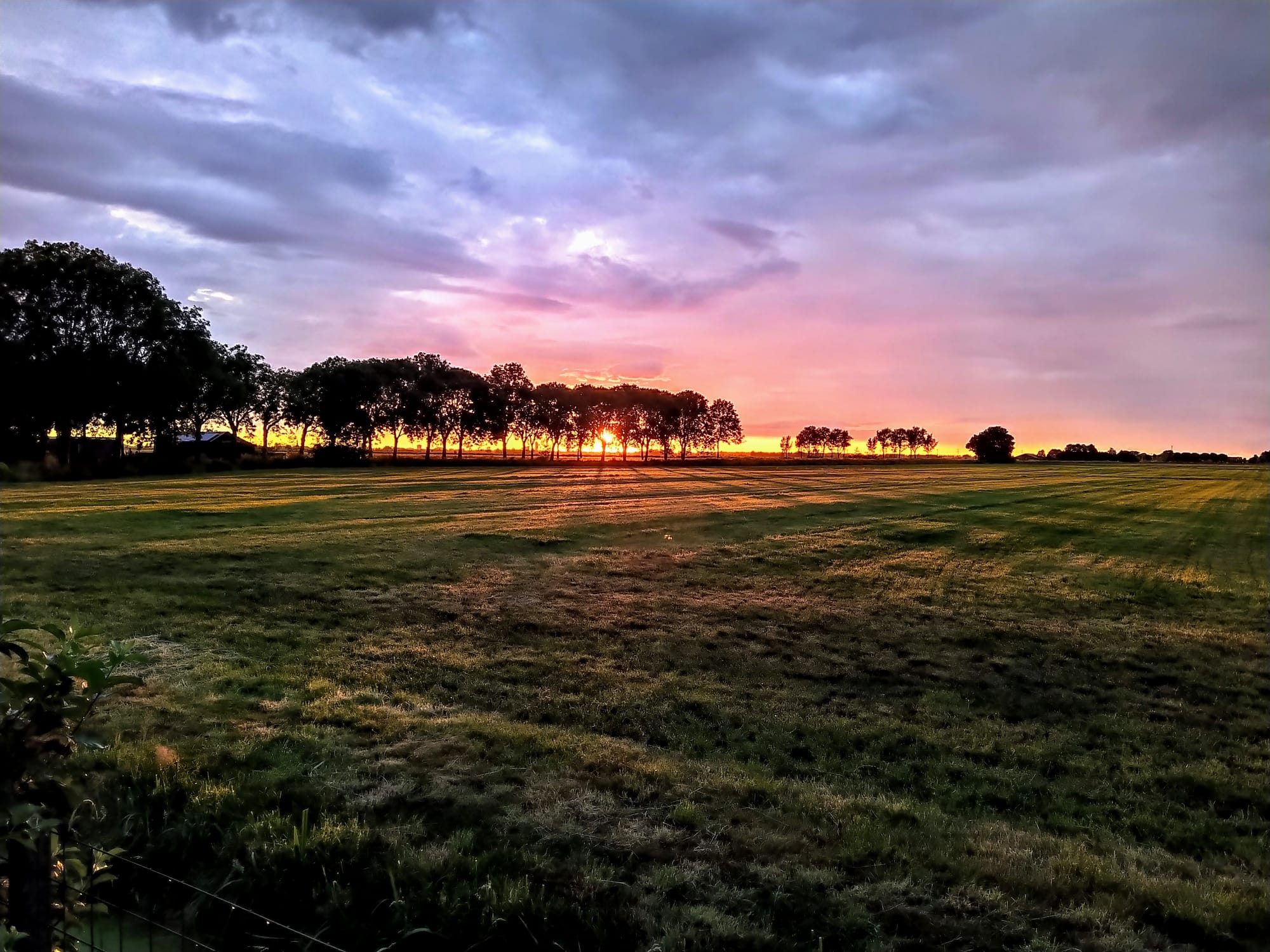 Foto 42 van De Mieden 14