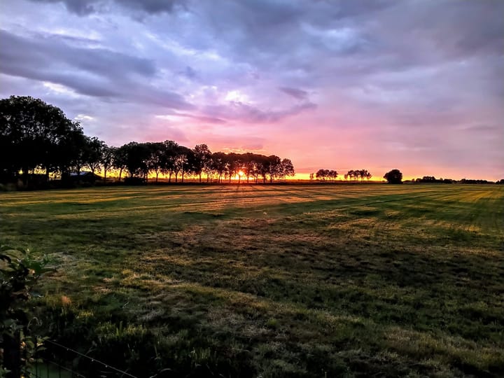 Foto 42 van De Mieden 14