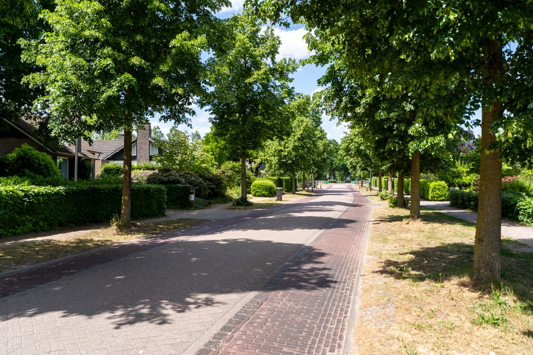 Photo 65 of Haarenseweg 7-A