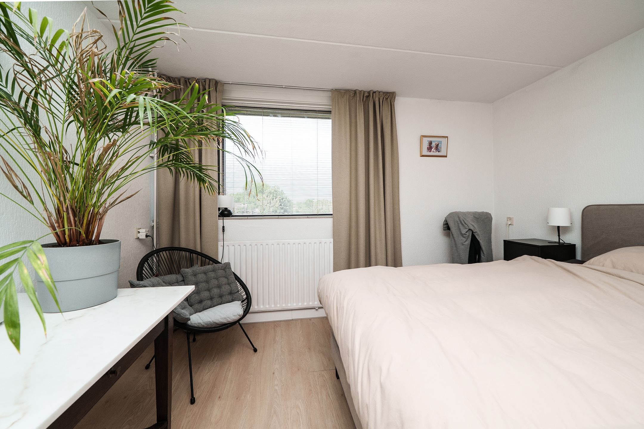 Foto 15 van Wipmolen 18