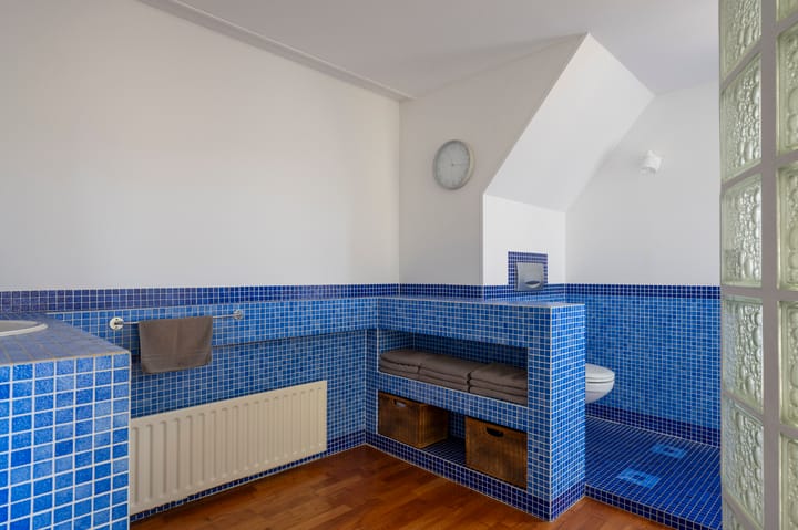 Photo 21 of Meidoornstraat 19