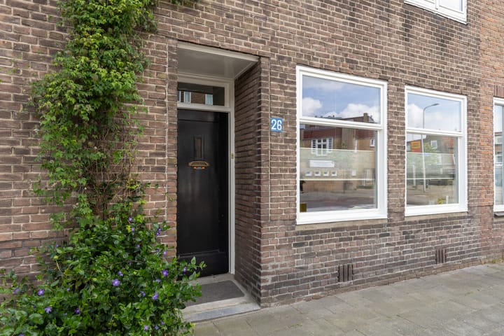 Foto 8 van Laan van Nieuw-Guinea 26