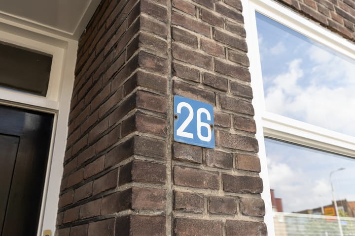 Foto 10 van Laan van Nieuw-Guinea 26