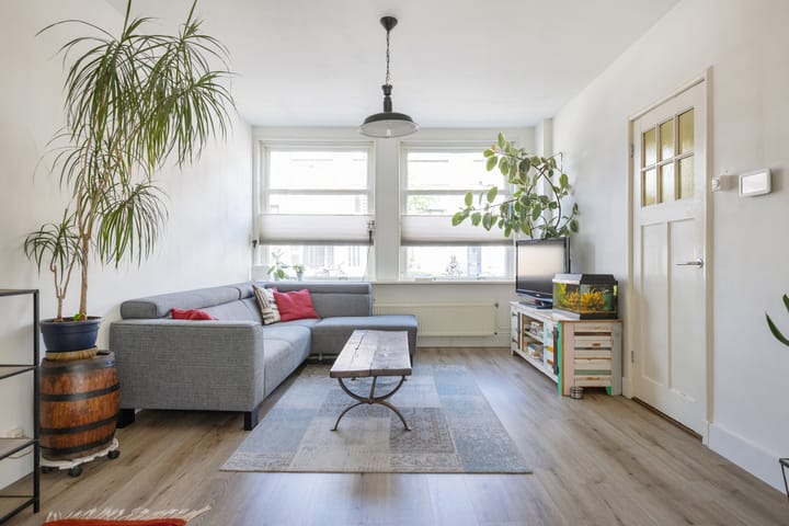 Foto 12 van Laan van Nieuw-Guinea 26