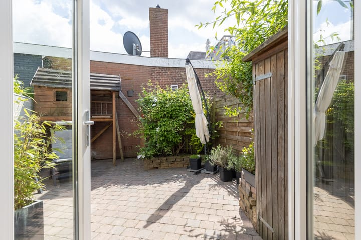 Foto 29 van Laan van Nieuw-Guinea 26