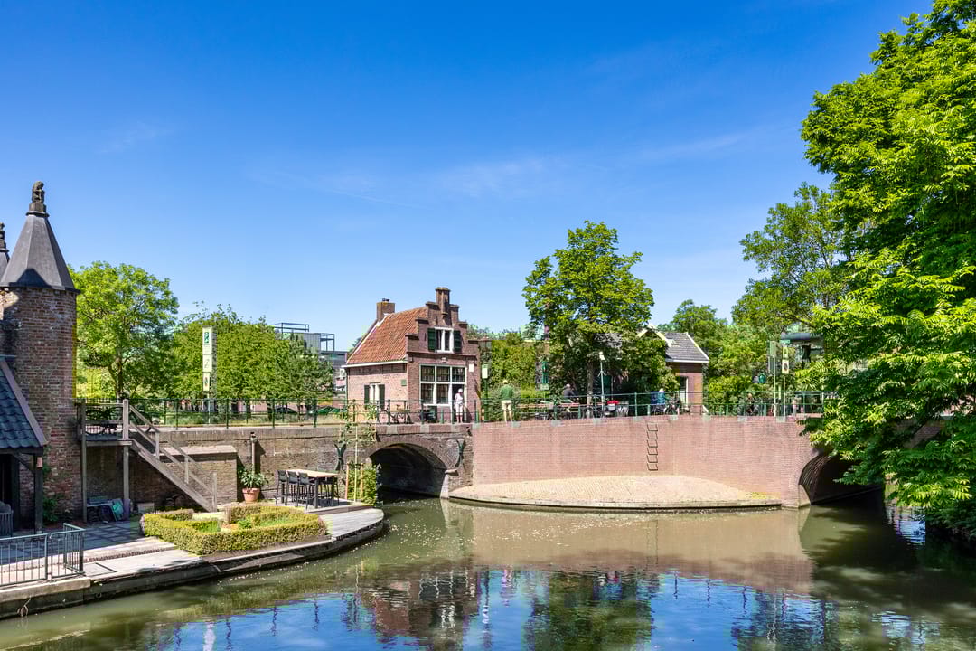 Foto 43 van Tiranastraat 78