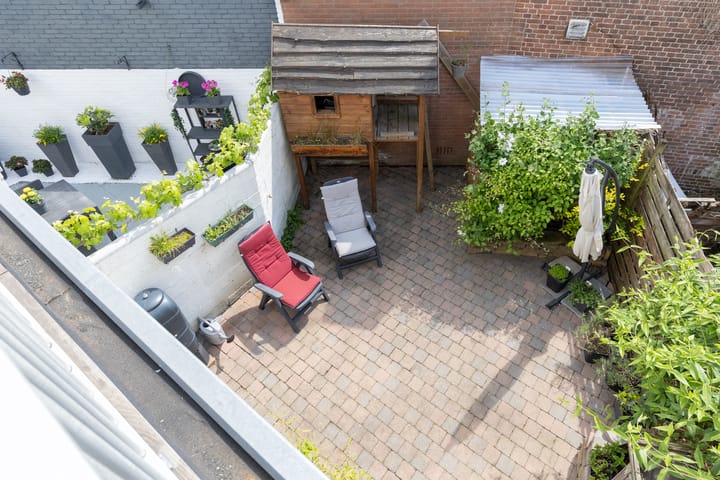 Foto 41 van Laan van Nieuw-Guinea 26