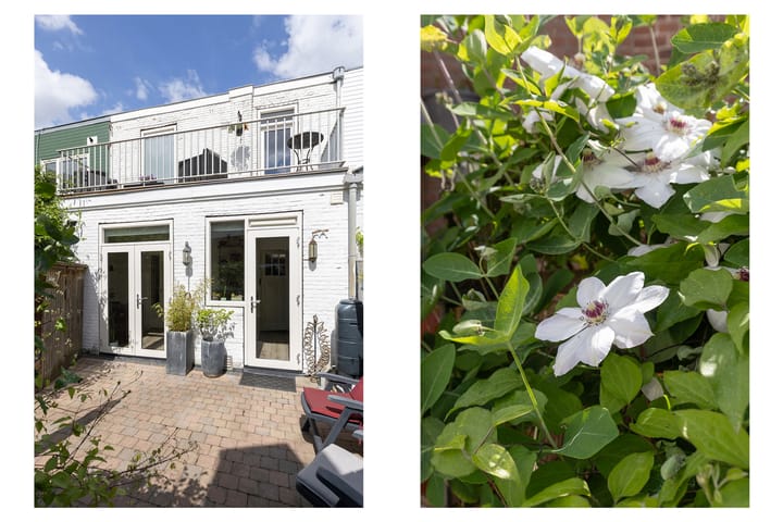 Foto 45 van Laan van Nieuw-Guinea 26