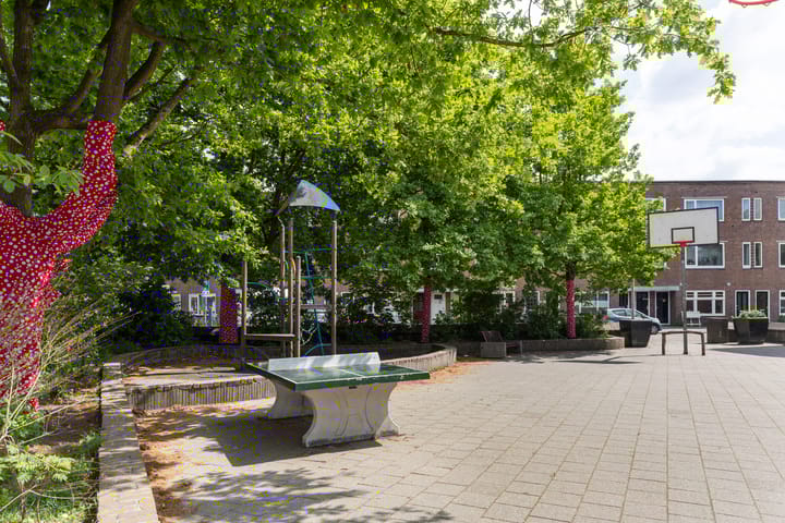 Foto 47 van Laan van Nieuw-Guinea 26