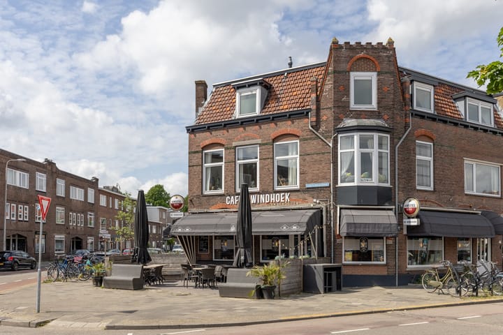 Foto 48 van Laan van Nieuw-Guinea 26