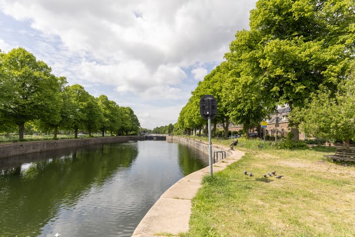 Foto 49 van Laan van Nieuw-Guinea 26