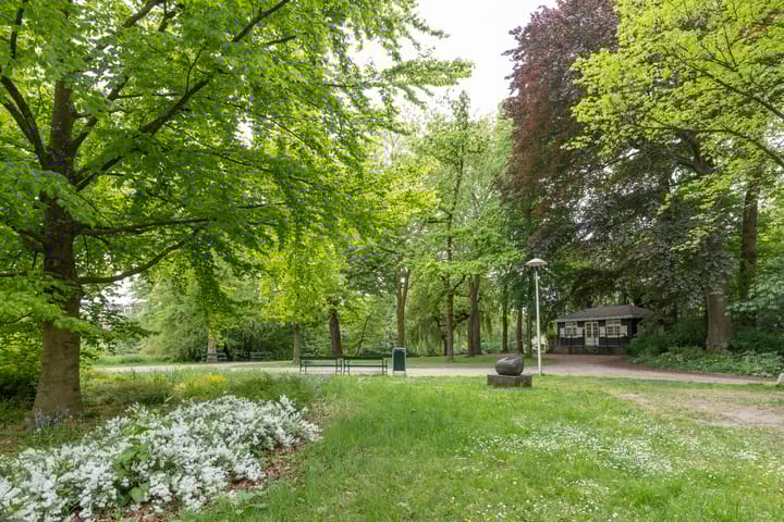 Foto 51 van Laan van Nieuw-Guinea 26