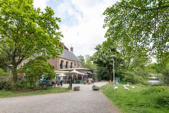 Foto 52 van Laan van Nieuw-Guinea 26