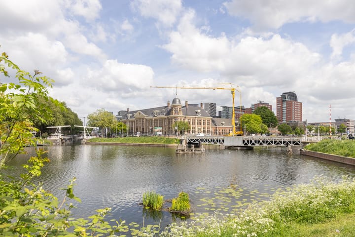 Foto 53 van Laan van Nieuw-Guinea 26