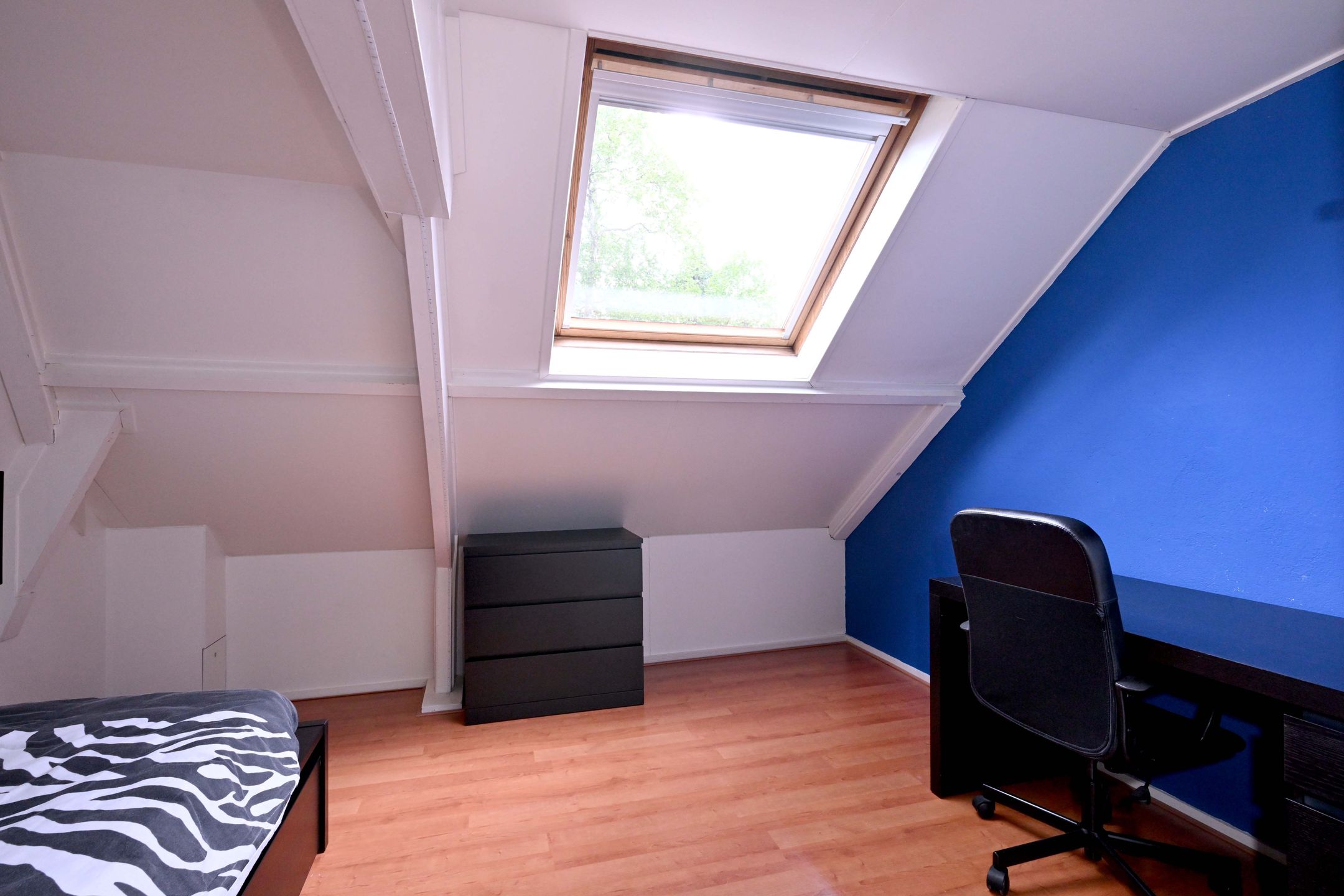 Foto 30 van Meidoornlaan 28