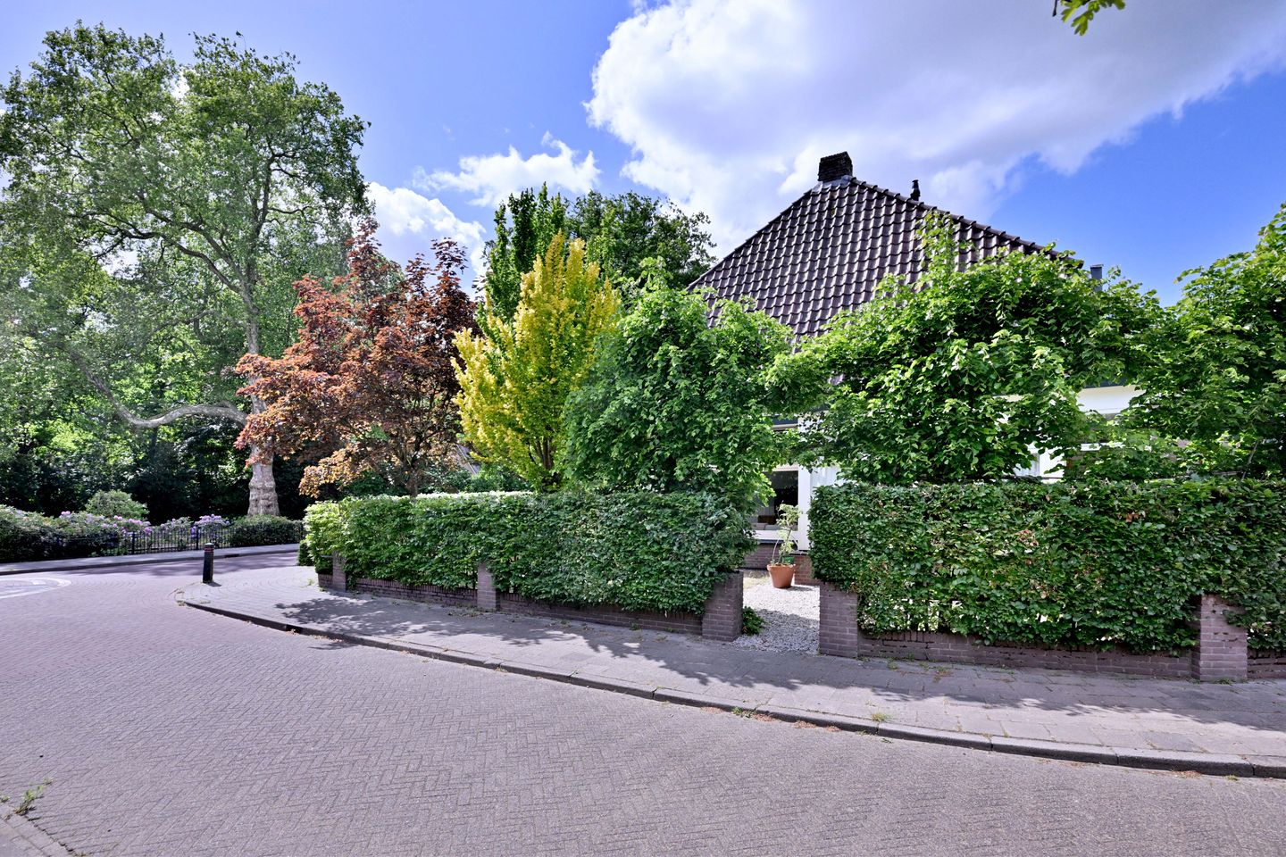 Foto 49 van Meidoornlaan 28