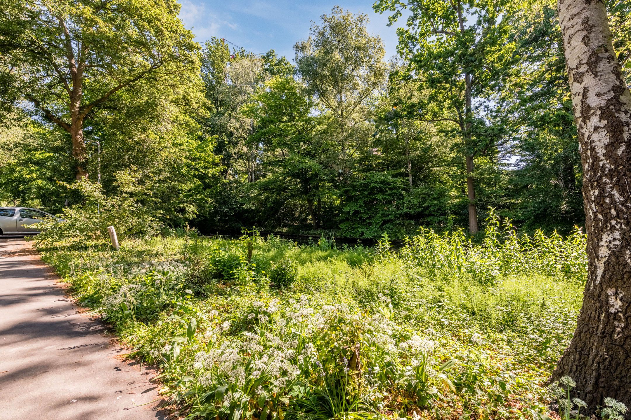 Foto 39 van Gerard Doulaan 9