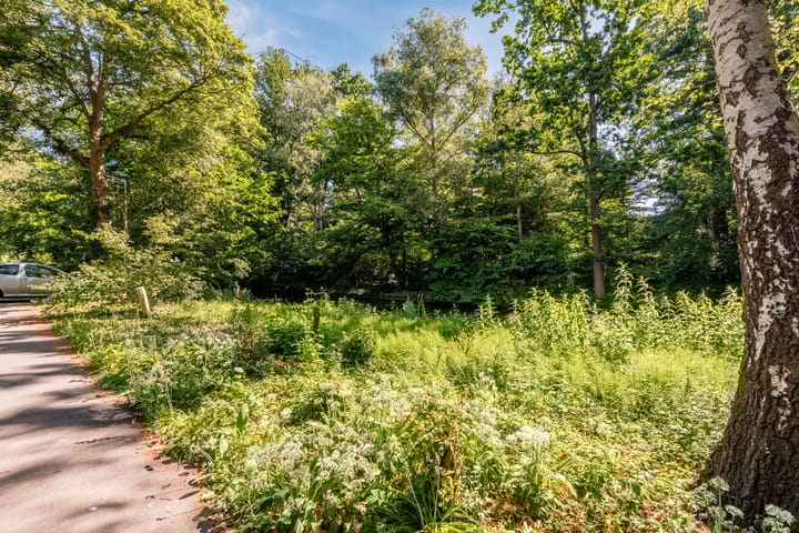 Foto 39 van Gerard Doulaan 9