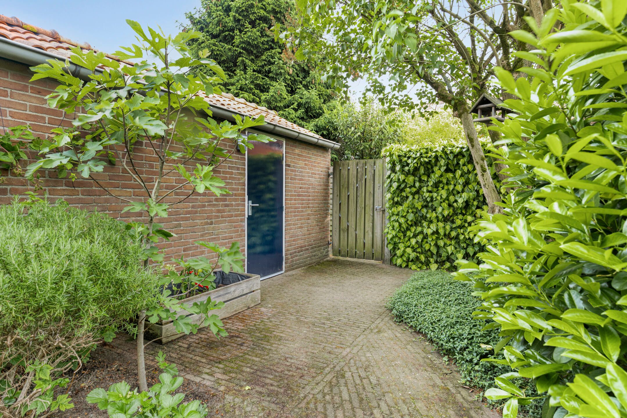 Foto 24 van Jan Luykenlaan 25