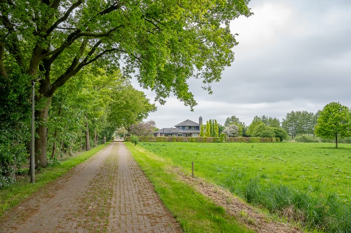 Foto 5 van Scheiddijk 3