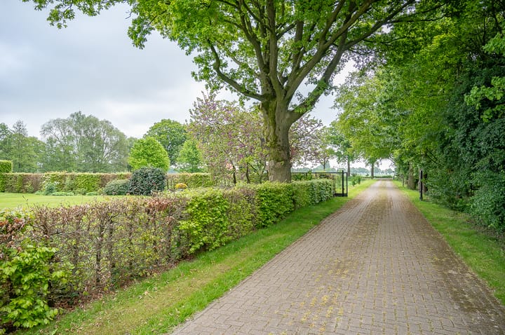 Foto 8 van Scheiddijk 3