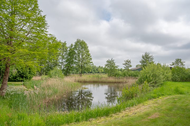 Foto 11 van Scheiddijk 3