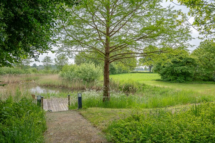 Foto 12 van Scheiddijk 3