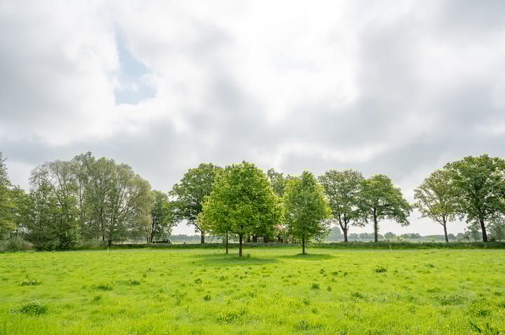 Foto 13 van Scheiddijk 3