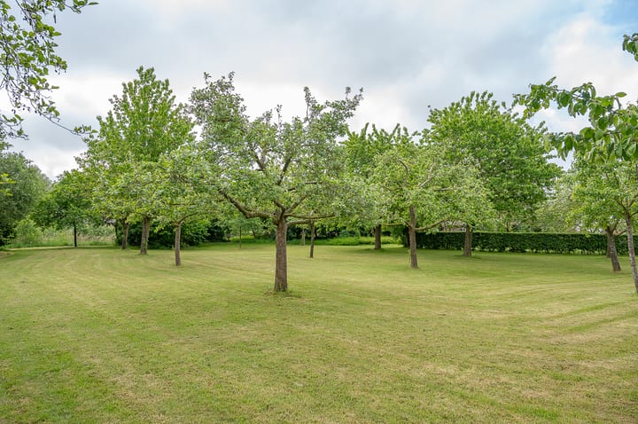 Foto 14 van Scheiddijk 3