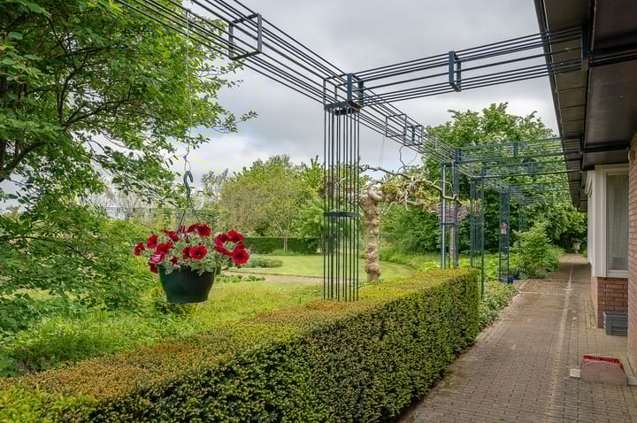 Foto 19 van Scheiddijk 3