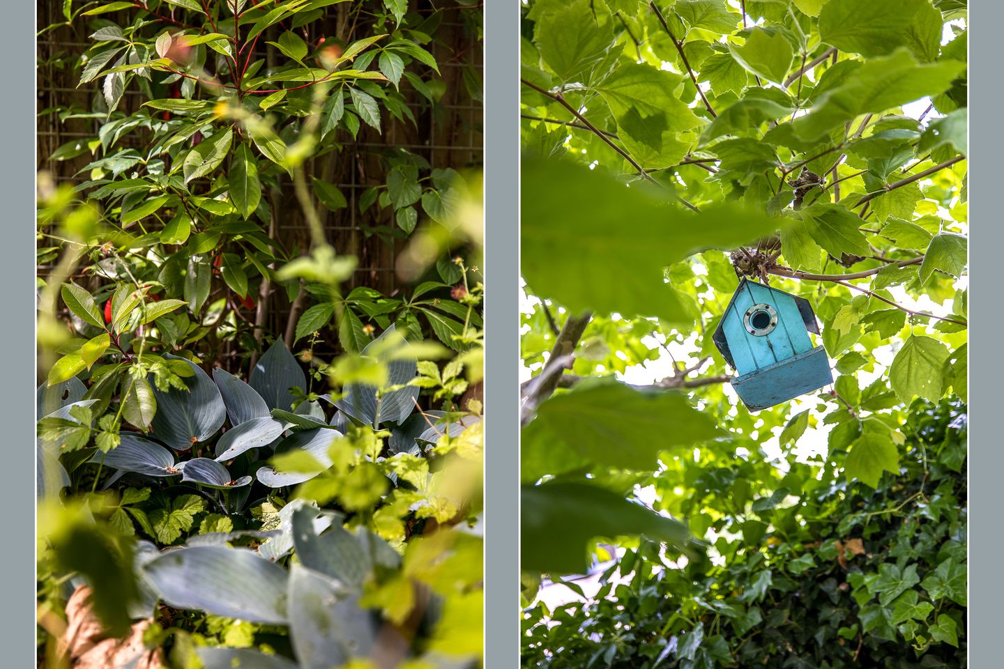 Foto 44 van Lotharingen 52