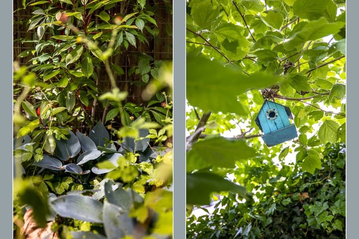 Foto 44 van Lotharingen 52