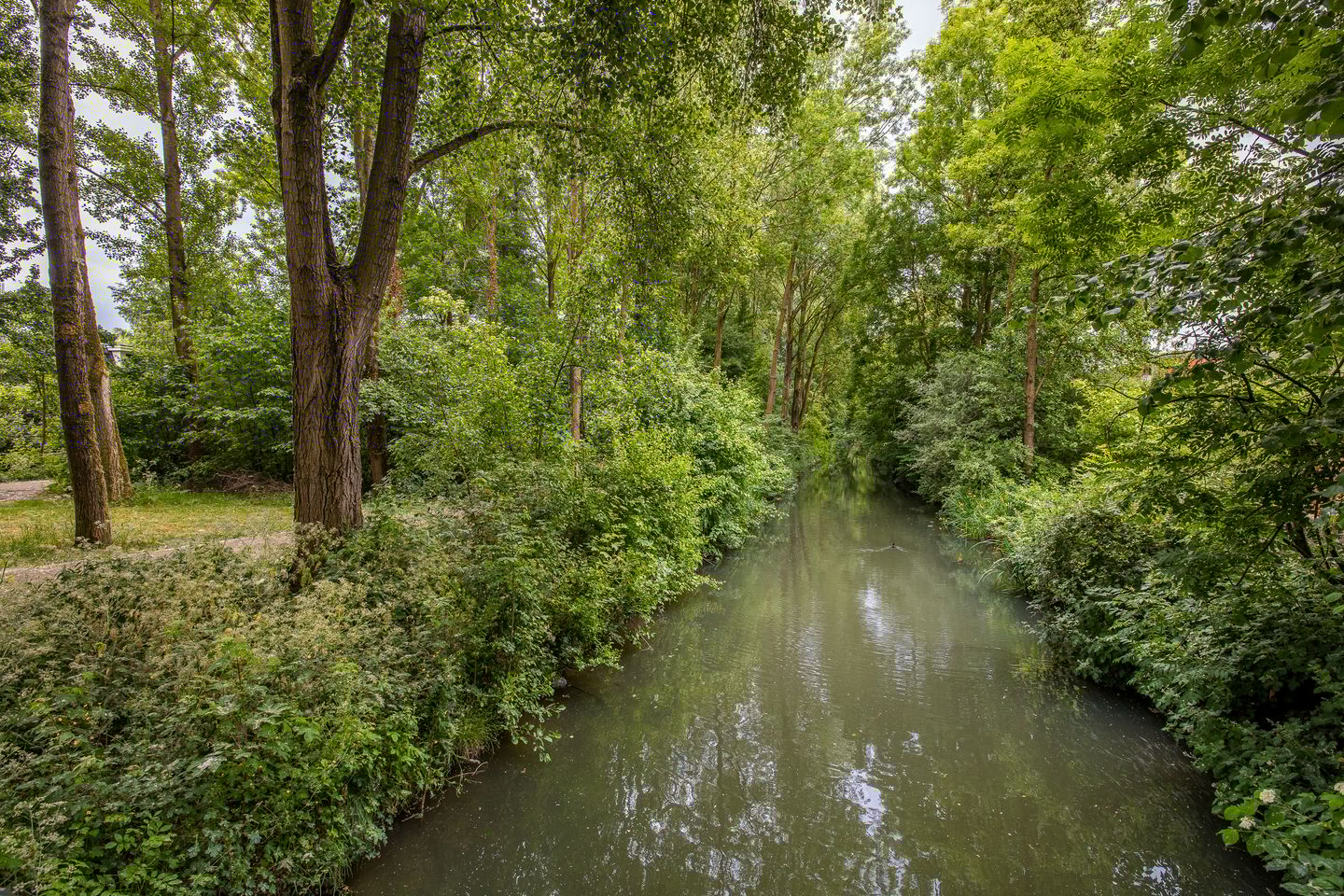 Foto 49 van Lotharingen 52