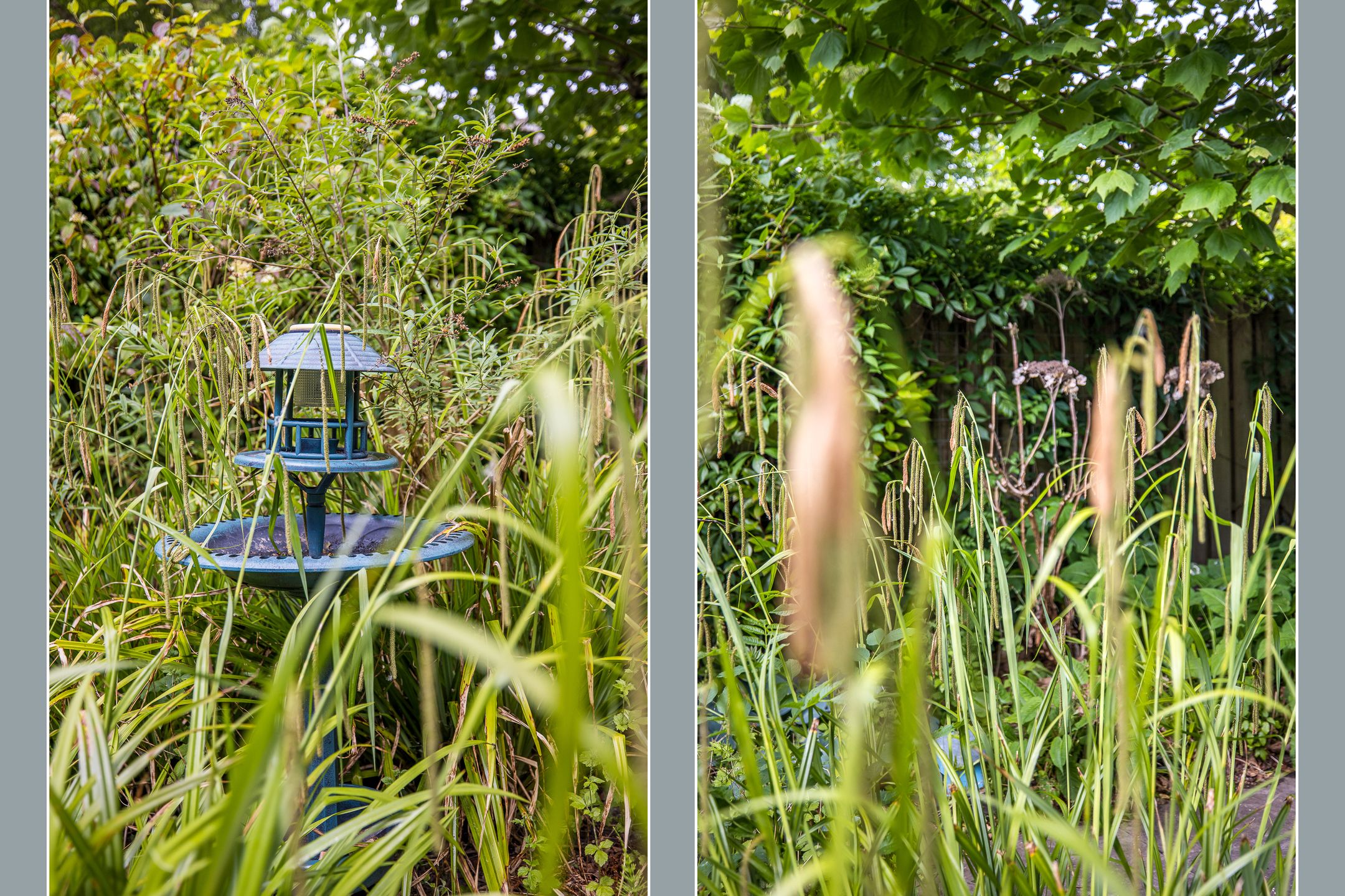 Foto 39 van Lotharingen 52