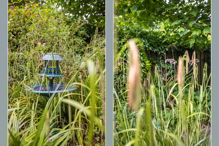 Foto 39 van Lotharingen 52