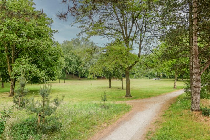 Foto 27 van Lauwere 511