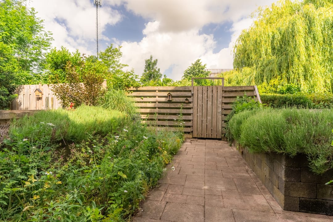 Photo 16 of Antilopespoor 115