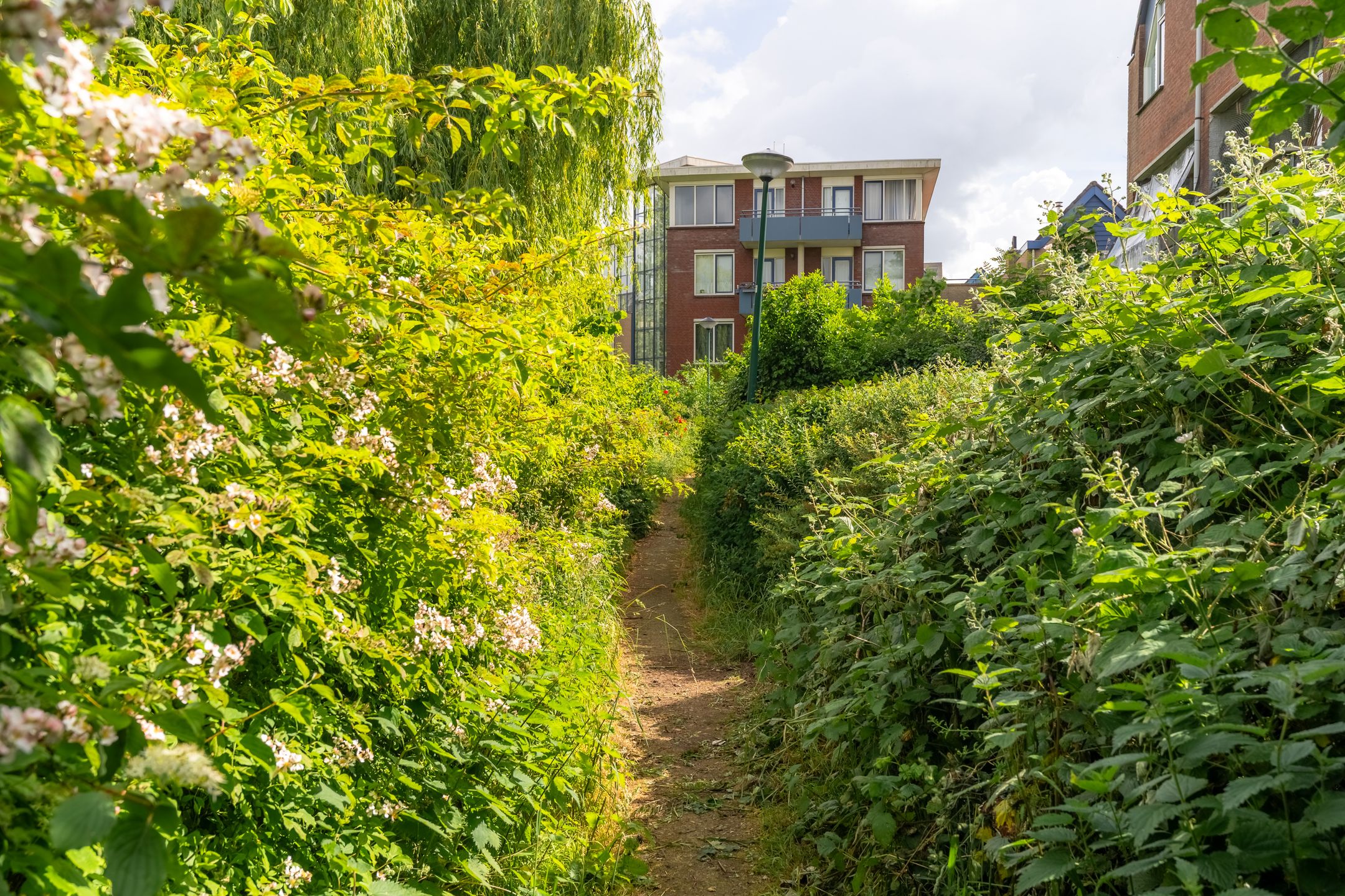 Photo 27 of Antilopespoor 115