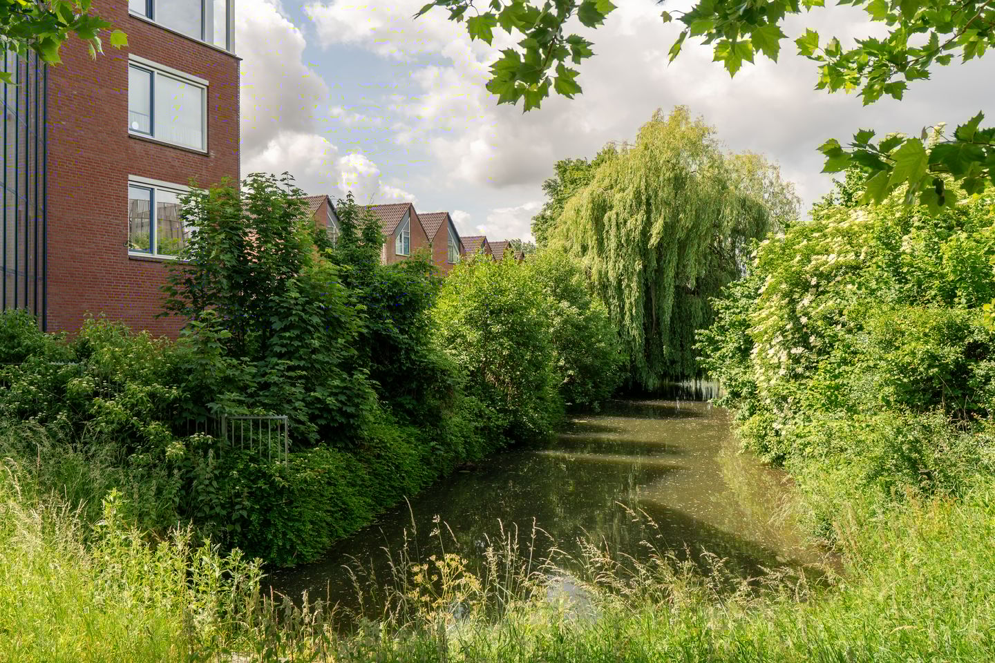 Photo 29 of Antilopespoor 115