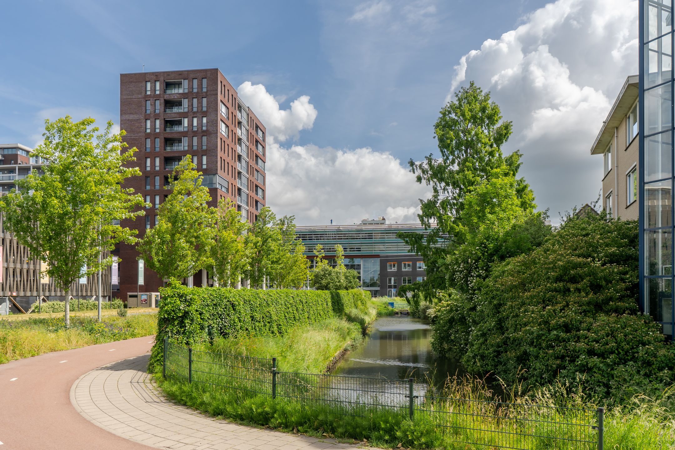 Photo 30 of Antilopespoor 115