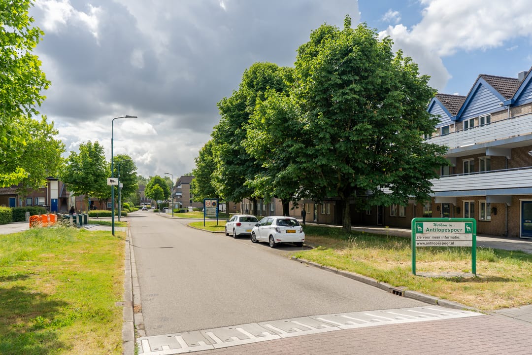 Photo 31 of Antilopespoor 115