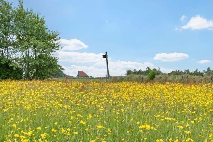 Photo 53 of Pontweg 99