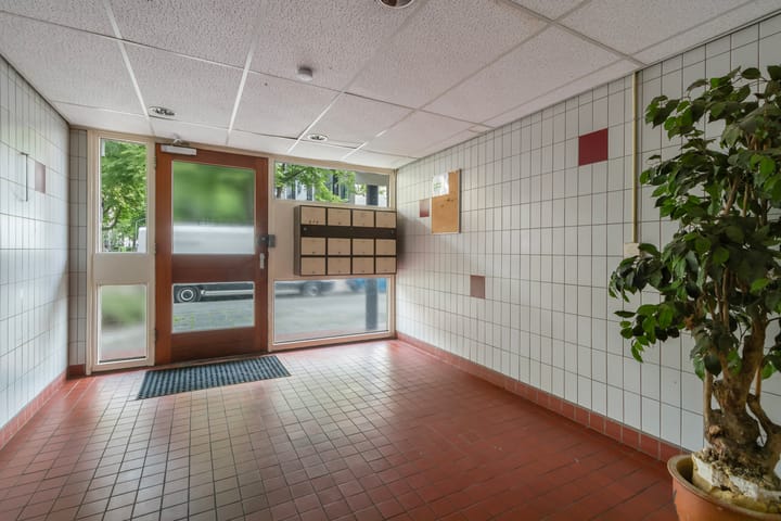 Foto 7 van Domela Nieuwenhuisweg 200