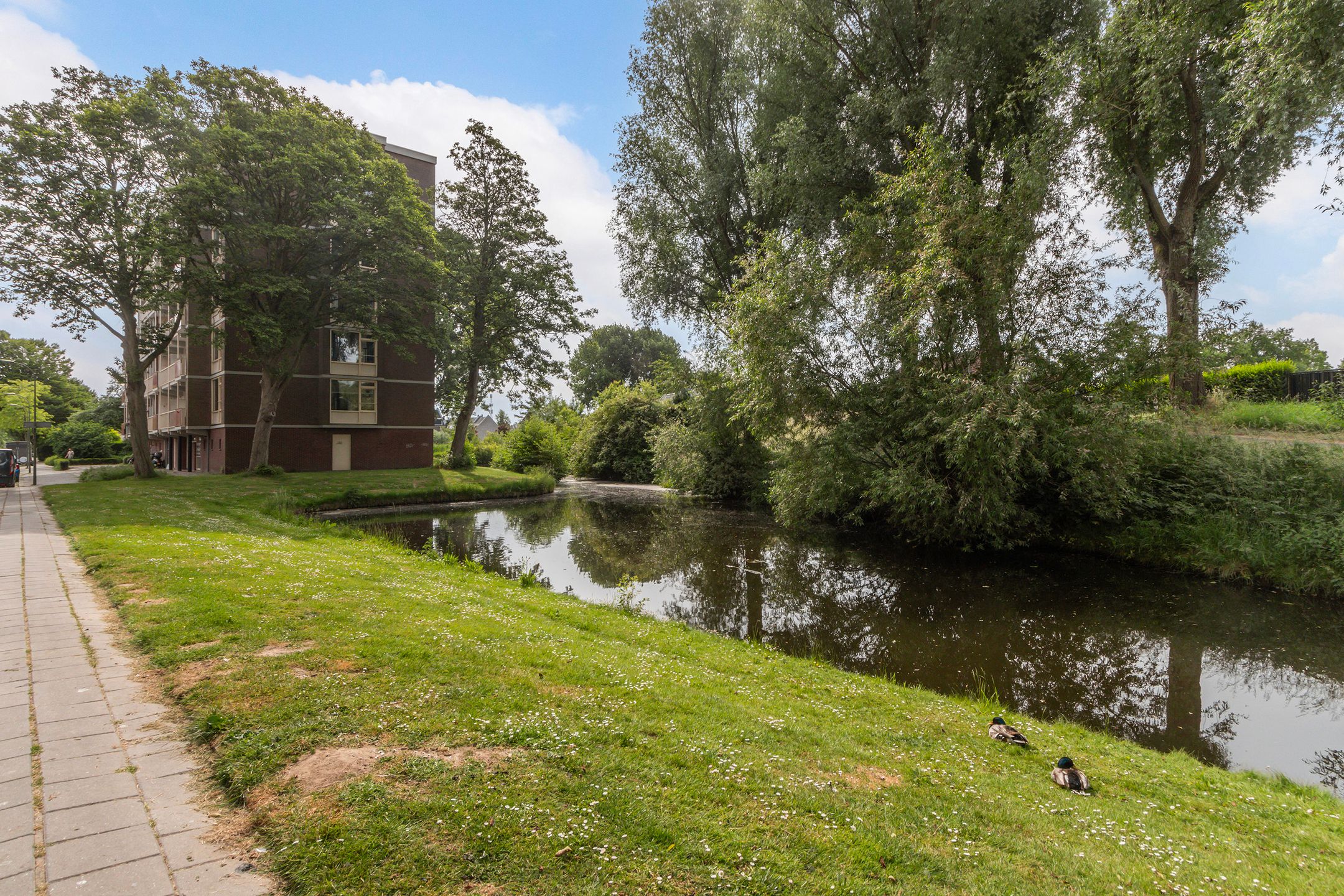 Photo 27 of Domela Nieuwenhuisweg 200