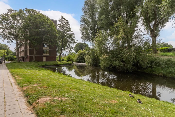 Foto 27 van Domela Nieuwenhuisweg 200